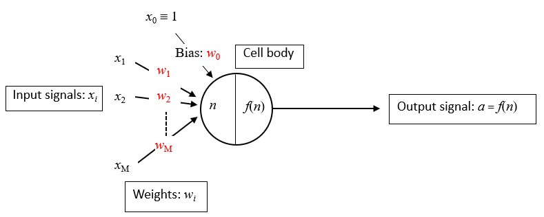 Artificial Neuron